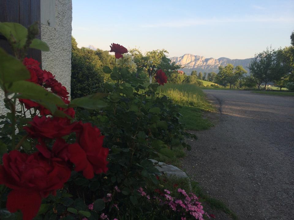 Rauhbergerhof Villa Tiefgraben Esterno foto