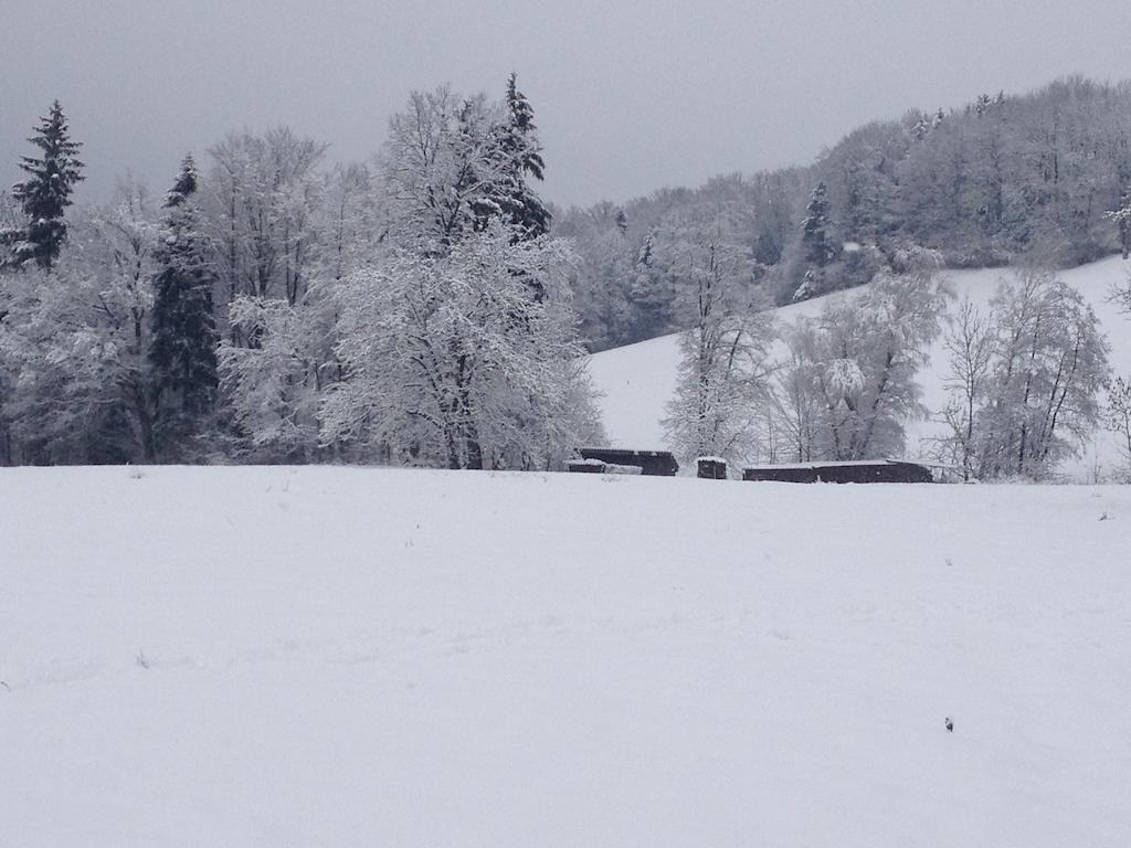 Rauhbergerhof Villa Tiefgraben Esterno foto