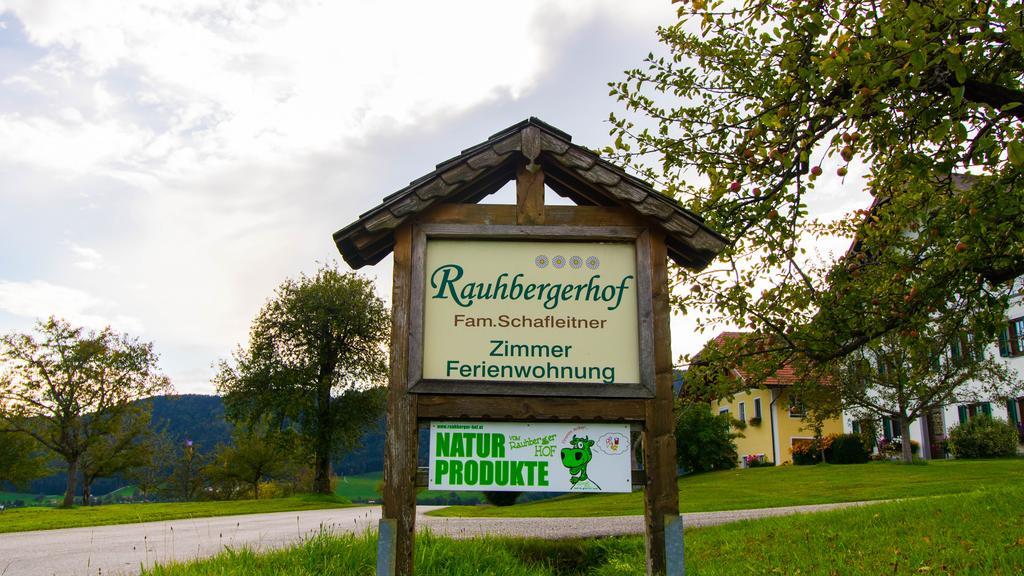 Rauhbergerhof Villa Tiefgraben Esterno foto